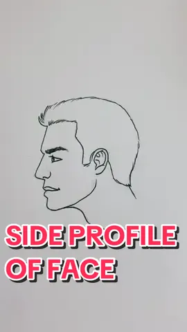Struggling to draw a side view face? No worries! Follow along with this tutorial as I guide you through a simple yet effective technique to perfectly proportion the features of a side-view face.  #howtodraw #sideview #drawingtutorial #drawingtips #drawing #art #explore #drawingforbeginners 
