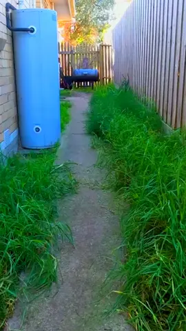 Satisfying Garden Work 🤩🍀 #garden #oddlysatisfying #cleaningtok #viraltiktok #satisfyingcleans #gardening 