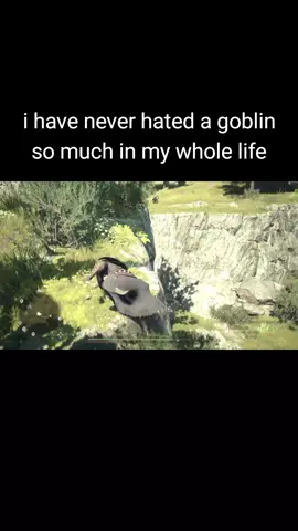 damn you goblin  #dragonsdogma2 #capcom #fail 