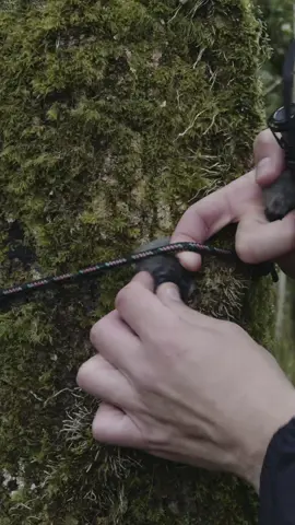 Capturing a very old creaky tree with my DIY clippy mics, Bubblebee wind covers and Tascam DR100mk3 . #sounddesign #soundscape #fieldrecording #nature #ancientforest #dartmoor #asmr #audio #gameaudio #filmsound #sfx #audiophile #ambience #woodland 