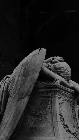 Y te has quedado sola - Los Iracundos | #losiracundos #ytehasquedadosola #fyp #viral