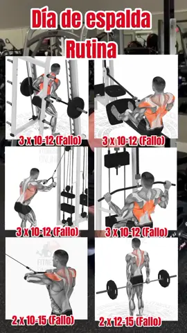 Día de espalda - Rutina completa en gym 🔥  #fitnezzup #ejercicio #gym #musculacion #rutinasgym 