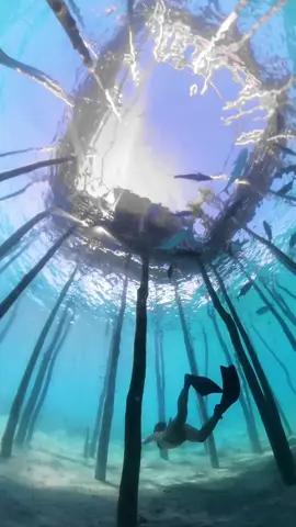 Clips of the beautiful, Sorsogon!🇵🇭 #matnog #sorsogon #juaglagoonfishsanctuary🐠🐟🐠 #matnogbeach #philippines #travel 