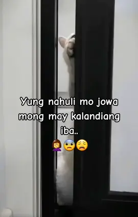 #fypage #Funnyanimals #goodvibesonly #fypspotted🙏  😂😂😂😂