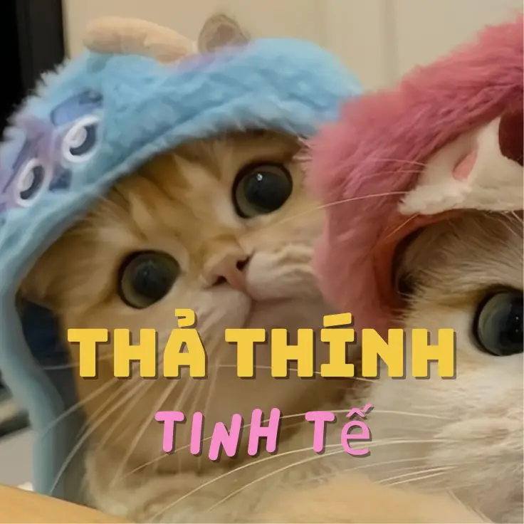 Một con vịt xoè ra 2 cái cánh Nó kêu rằng : Hey baby , ài love yòu @Tuyền Nguyễn  #viral #xuhuong #taihuongnoi #tainguyenn185 #thảthính #