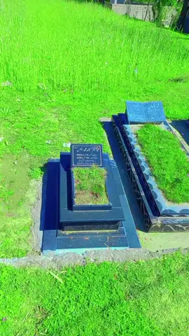 @Shani3068 @Noman Awan @nadeem khan @انیس اعوانزادہ @625سردار دی 