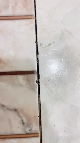 Tile Reform Seam Sealer #tilereformwaterproof #seamsealer #tile #reform #house #teamputi #housecleaning #foryoupage #fyp #fyppppppppppppppppppppppp 