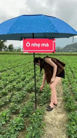 Ô nhẹ mà vác đi đâu cũng rất tiện#odu #oducauca #oduchemuachenang #rẻ #xuhuong 