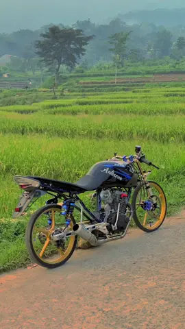 พักผ่อนริมทุ่งนา #tigerantasena #pacoel #fyp 