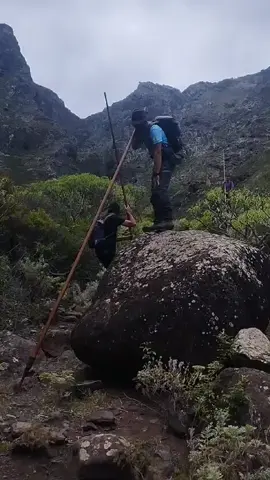 Enamorado de mi tierra 😍🇮🇨🐐 #saltodelpastorcanario #tradicional #saltandoriscos #canarias🇮🇨 #tenerife🇮🇨 #rubensosadlr @MartínYayi @Martín Navarro @Wabiks @Wild Baifo 