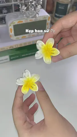 Nhỏ nhỏ xinh thía🥹 #foryou #fyp #unboxing #keptochoasu #kephoasu #keptocxinh #xh #xuhuong 