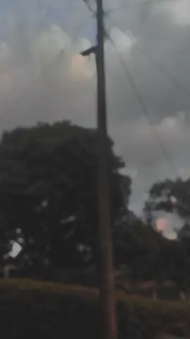 #acehsingkil #cenimatic #fypdonggggggg 