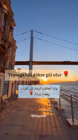 annem 🌹 #türkiye #türkçe #تركي #تعلم_اللغة_التركية #explore #keşfet #annem #الأم 