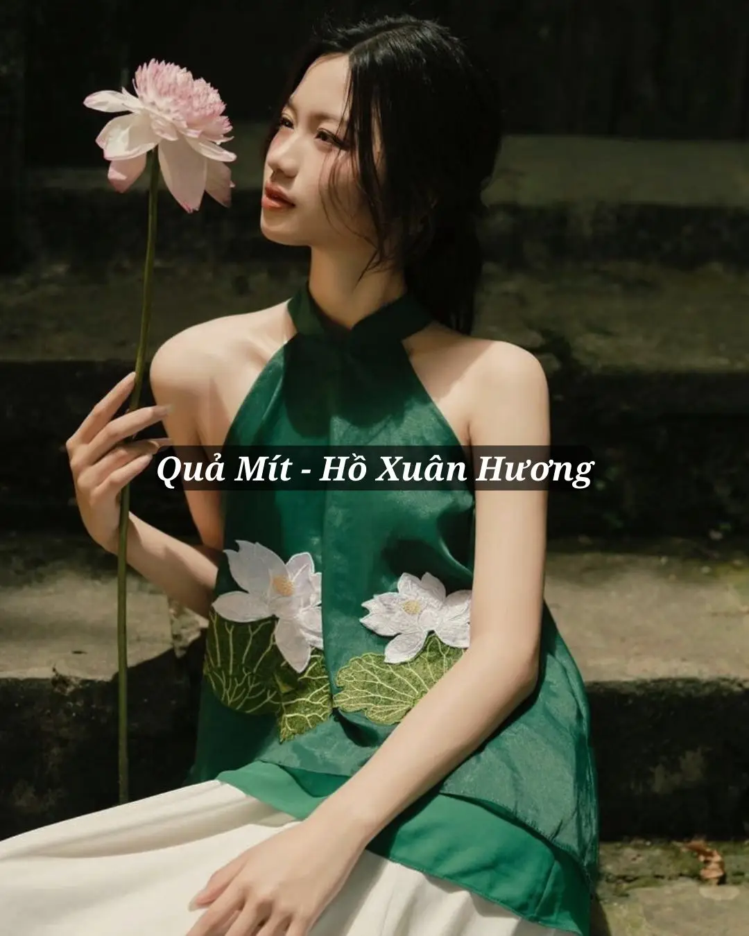 #vantho #vanhoc #trichdan #vanhocvietnam #thơ #foryou #nguvan #xuhuong #hoxuanhuong 