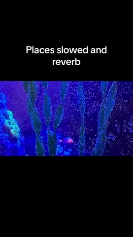 Places slowed and reverb 
