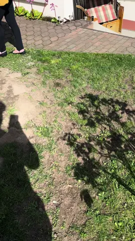 Oma macht neue Blumen  