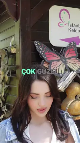 kelebek çiftliği vlog @elifnuryeeel youtube kanalındaaaa #keşfet #fyp #beniöneçıkart #akım