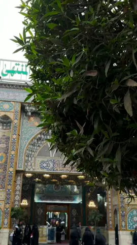 انا الضايع وجيت ارجوك💔#السلام_عليك_يااباعبد_الله_الحسين #السلام_عليك_يا_ابا_الفضل_العباس_ع #اللهم_صل_على_محمد_وآل_محمد #اشهد_ان_علي_ولي_الله #علي #السلام_عليك_يااميرالمومنيين_علي #fyp #تصميمي#لايكاتكم 