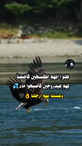 #ظنوا _انهم  #اكسبلورررر #تصميم #عبارات #كبرياء #رجال #عبارات_جميلة_وقويه😉 #🇾🇪🇾🇪🇾🇪🇾🇪🇾🇪🇾🇪🇾🇪🇾🇪🇾🇪🇾🇪🇾🇪 
