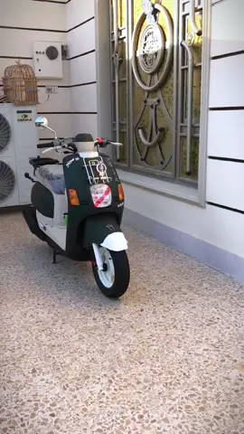 شويه تغير مال لعيد 😁#CapCut #ابو_صويلح #شعب_الصيني_ماله_حل😂😂 #تصميم_فيديوهات🎶🎤🎬 #محمد #لعيون_الاصايل🥇🧿 #بوليسي #لعيون #جمازيه #لايك #تي_ماكس_العراق #متابعه_ولايك_واكسبلور_احبكم #هواجيس #ابو_شاهين #لمشاهير #ماكس #يله_بيباي 