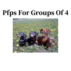 pfps for groups of 4! #dailytipsfromurbestie #tipaccount #pfps4u #pfps #pfpideas #groupsof4 