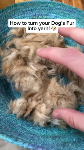 Learn to yarn out of your dog’s fur! #fiberarts #yarn #dog #fur #crafts #fortcollins #colorado 