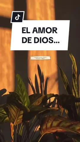 El amor de Dios Sana, Nutre, Guía, Corrige, Perdona … Marcela J. Villalón  Garabatos del tiempo  #m#marcelajvillalong#garabatosdeltiempo#elamordediossana #Diosesamor #m#mensajescristianos.. . . . . #D#DiosesmiesperanzaD#Diosesmifuerzad#diosesbuenon#nuevomesn#nuevasemanam#motivacionr#reflexionespositivasm#mensajesmotivadoresm#mensajescristianosr#reflexionescristianasf#fypf#foryoupagee#estadosparawhatsapps#statuswhatsappm#mexicon#nutriendoelcorazonfe 