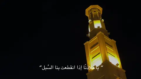 🤍 #محمد_اللحيدان #fyp #قران 