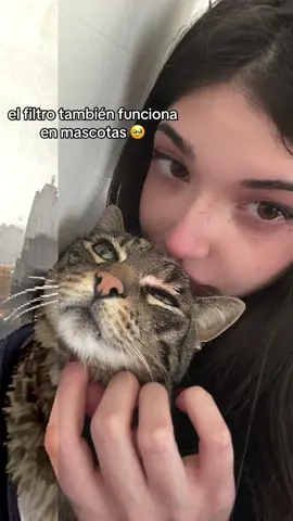 🐈🐈 #ps2 #ps2filter #ia #fyp 