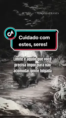O que falta nas pessoas folgadas é noção. Elas acreditam que todo mundo só existe para servi-las. #aprenda #reflexao #foryoupage #Lifestyle #cute 