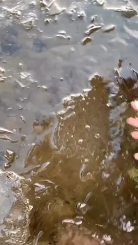 Satisfying Ice Breaking #ice #snow #asmr #satisfying #oddlysatisfying #fyp 