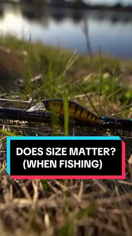 Does SIZE MATTER?! (when youre fishing lol) #fishing #fishingdaily #fisherman #fishinglife #viral #fishtok #trending #fishingrods #largemouth #largemouthbass #funny 