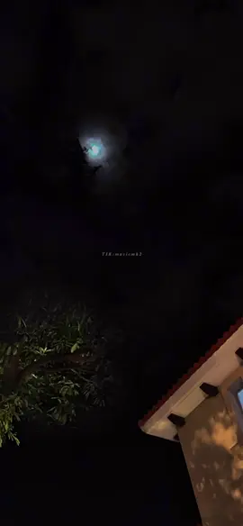 وضَميره مَات! .. #شيرين_عبد_الوهاب #مش_قد_الهوى 