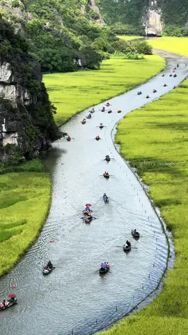 Tam Coc mùa lúa vàng! Tầm 1-15 tháng 6 đến Ninh Binh nhé mọi người! Giờ lúa đang xanh! ____ Cre: Henryonthego #tamcoc #ninhbinh #trangan #hoalu #vietnam #vietnamtravel #trending #fyp #travel 