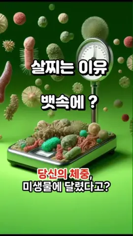 유산균 하나만으로도 살이 빠질수 있다! #뚱뚱균#다이어트#유지어터#다이어트보조식품 #다이어트보조제#다이어트쉽게하는법 