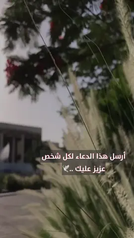 #لشخص_احبه #fypシ #fyp #اكسبلورexplore #fypシ #foryoupage 