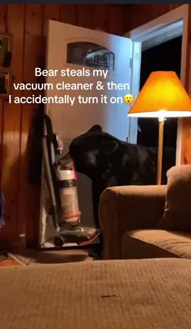 Bear steals my vacuum cleaner and when i go to get it I accidentally turn it on. Then wstch the bear’s reaction. Year 2021 #foryou #bear #viral #Love #wildlife #steal #thief #vacuum #laugh #animal #spirituality #mountain #biganimals ##country #woods #Outdoors #house #USA #forest 