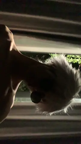 bé nghịch wig 🫣 #fyp