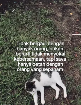 #sadvibes #xyzbca #fypシ 