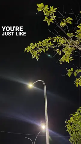 #stories #myday #foryourpage #Avvvyqxlyrics #foryoupage #myday #stories #foryou #fyp #foryou #aesthetic #dnd #igstory #storyig #fypシ 