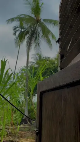 Bek that ta ikot gaya gop,gop mngken aneuk ureung na,beda ngen tanyoe yang husep pas-pasan. #fypage #laguaceh #aceh #liriklaguaceh #fypシ゚viral #masukberandafyp 