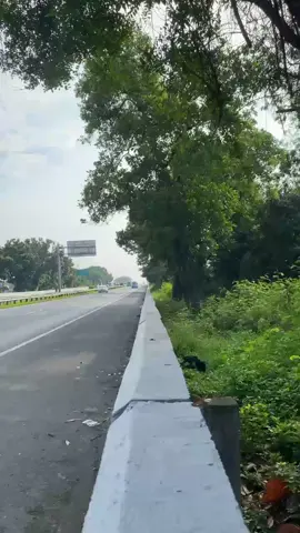 #CapCut suwun bolo pantauane #putrandaoffcial #fypシ #trukmaniaindonesia #trukairbersih #stroywa #truktangkiair #trukmodifikasi #truk #trukmodifikasi @anjasalim_ 