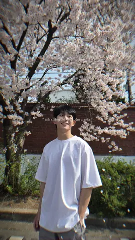 Anh ấy với hoa anh đào 🌸 Combo lm e xao xuyến 🥹🎀 #junghaein #haein #xuhuong #fyp #junghaeinoppa 