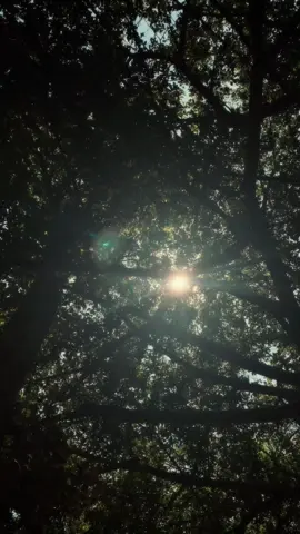 Lúc nhỏ cứ thắc mắc sao người lớn có thể ngồi yên trầm ngâm nhìn trời, nhìn đất mà không nói gì. Bây giờ tôi cũng bắt đầu thường xuyên nhìn mọi thứ vô định như thế. Có lẽ nỗi lòng của tôi, chỉ có trời mới biết…. #caption #foryou #fypシ #viral #sadstory #tamtrangmoingay #music #🏳️‍🌈 