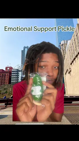 You are a big dill!!! This emotional support pickle just might be what you need! We all need reassurrance from time so who better than Mr. Pickle? Click the orange shopping cart to order yours now 🛍️🛒 #TTSACL #emotionalsupportpickle 