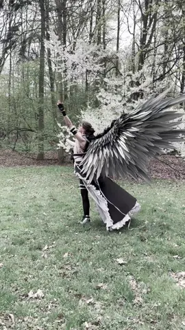 Balck silver wings size L Instagram /Reddit/X(Twitter) Angels_pawprint #wings #dancewings #angelswings #angel #handmadewings #craft #craftwings #wingsuit #bluewings #cosplay  #photoangel #photosession  #skrzydłaanioła #Engelsflügel #Alidangelo #крыльядляфотосессии #ангел #крыльяангела #etsy  #bluewings #cute #cosplaywings #blackwings #whitewings #angelwings #night #amazing #me #beautiful #Love #fashion