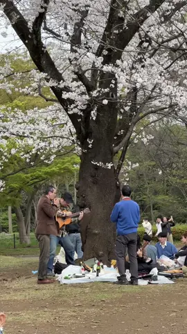 Sakura picnic hehe long day in the park and then the… dungeon…🙄🙈