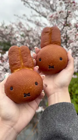可愛すぎるみっふぃーあんぱん🌸 嵐山で大人気のパン屋さん🐰 可愛すぎて食べるのがもったいなかったけど いざ食べてみたら生地ふわっふわで 中に優しいあんこがギッシリ詰まってて美味しかった✨️ 午前・午後と販売個数が決まっていて 平日午前11時半の時点で売り切れてたから 早めに行った方が良いかも！ 📍京都 「みっふぃー桜ベーカリー」 みっふぃーあんぱん ¥313 #Sui #SakuraFallingDown #tieup #嵐山グルメ #嵐山食べ歩き #京都グルメ #kyoto #arashiyama 