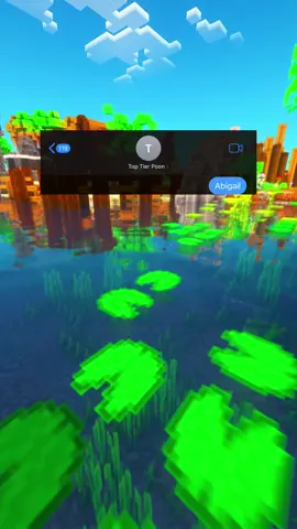 THE END 😭 #text #texts #textingstory #textingstories #minecraftparkour 