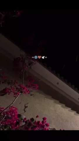 💞Ne naan mattum💞 #🫀 #🧿 #💕💕💕 #fy #fyp #foryou #fypage #fypシ #fypシ゚viral #foryoupage❤️❤️ #lovesongstatus🌍 #tamilsong #tamiltiktok 